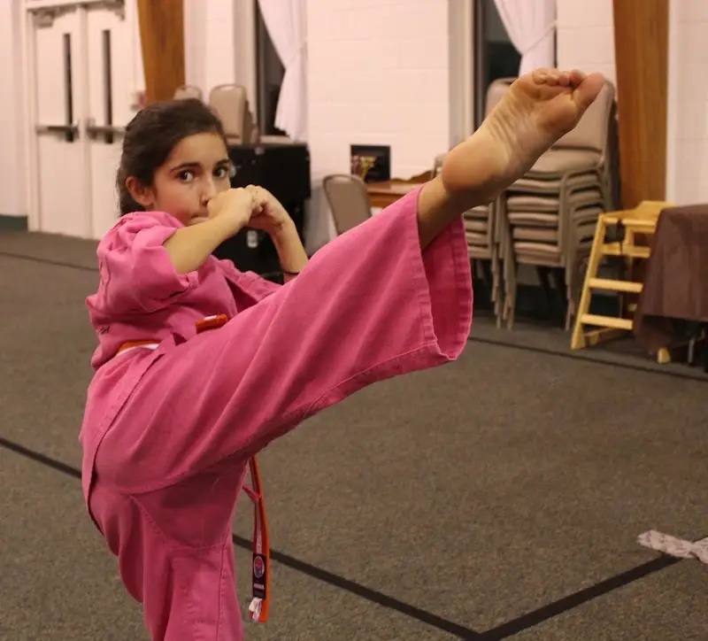 American Elite Martial Arts BJJ Academy - photo 2
