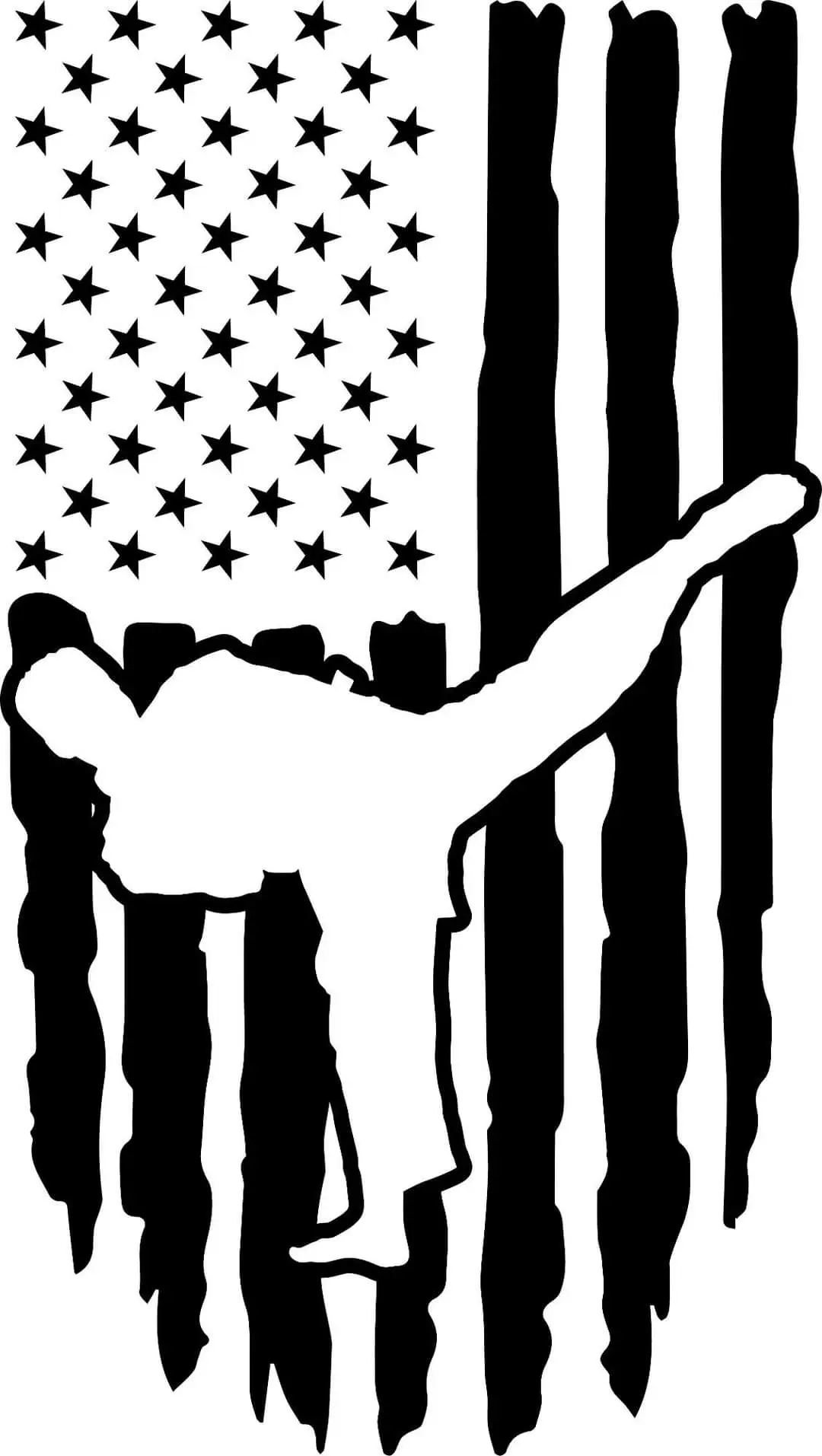 American Hero Martial Arts