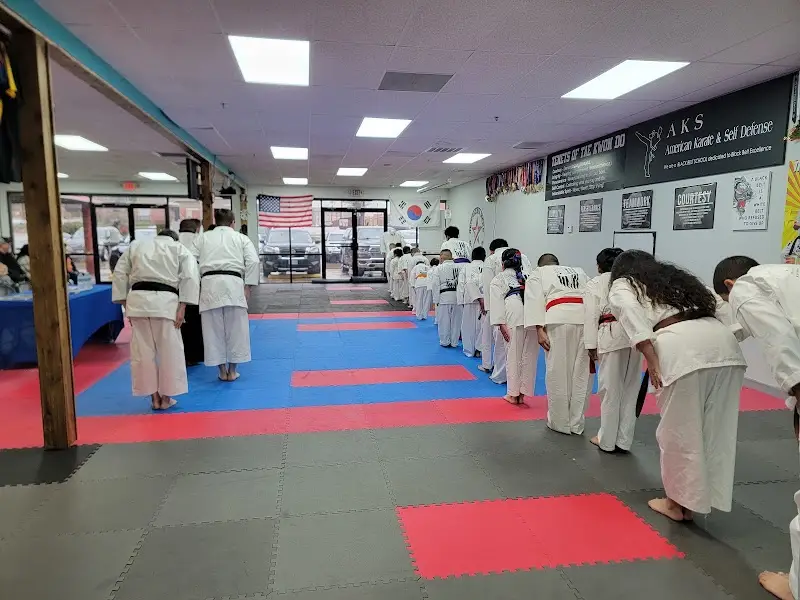 American Hero Martial Arts BJJ Academy - photo 1