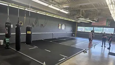 American Jiu-Jitsu Academy BJJ Academy - photo 2