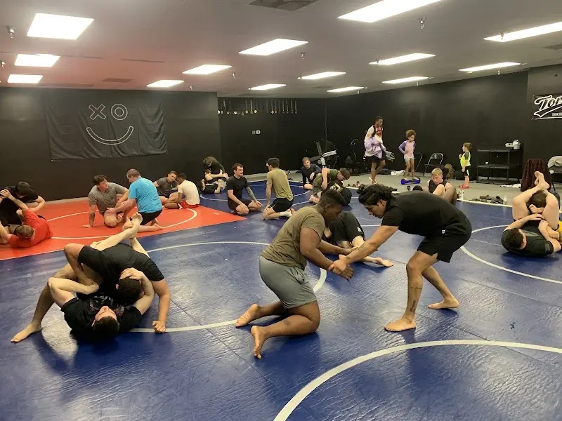 American Jiu Jitsu BJJ Academy - photo 1