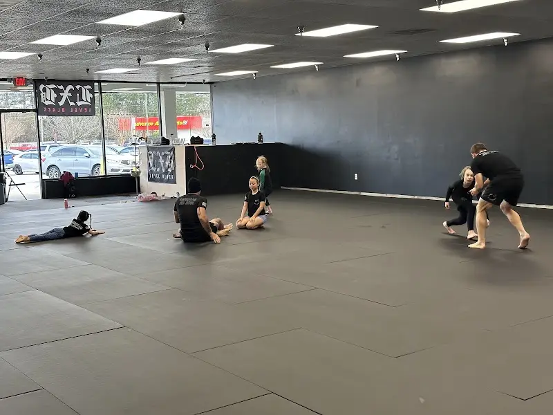 American Jiu Jitsu BJJ Academy - photo 2