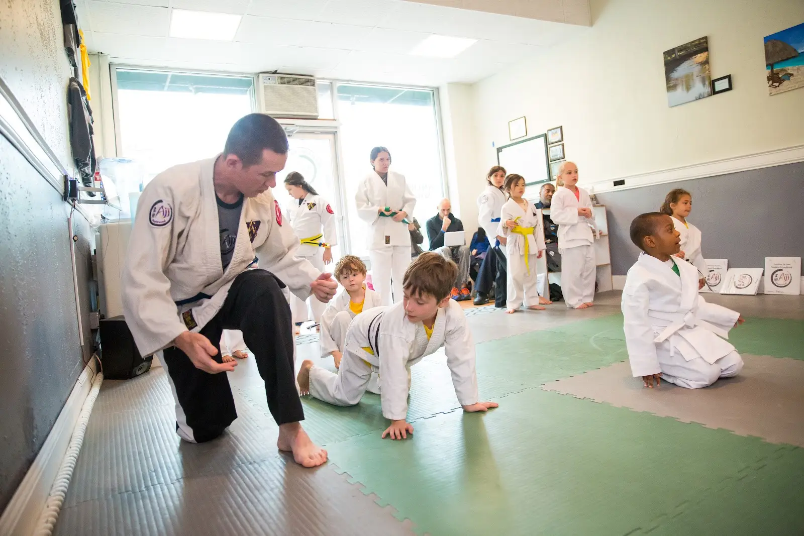 American Jiu Jitsu of Maplewood