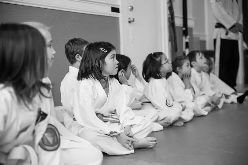 American Jiu Jitsu of Maplewood BJJ Academy - photo 1
