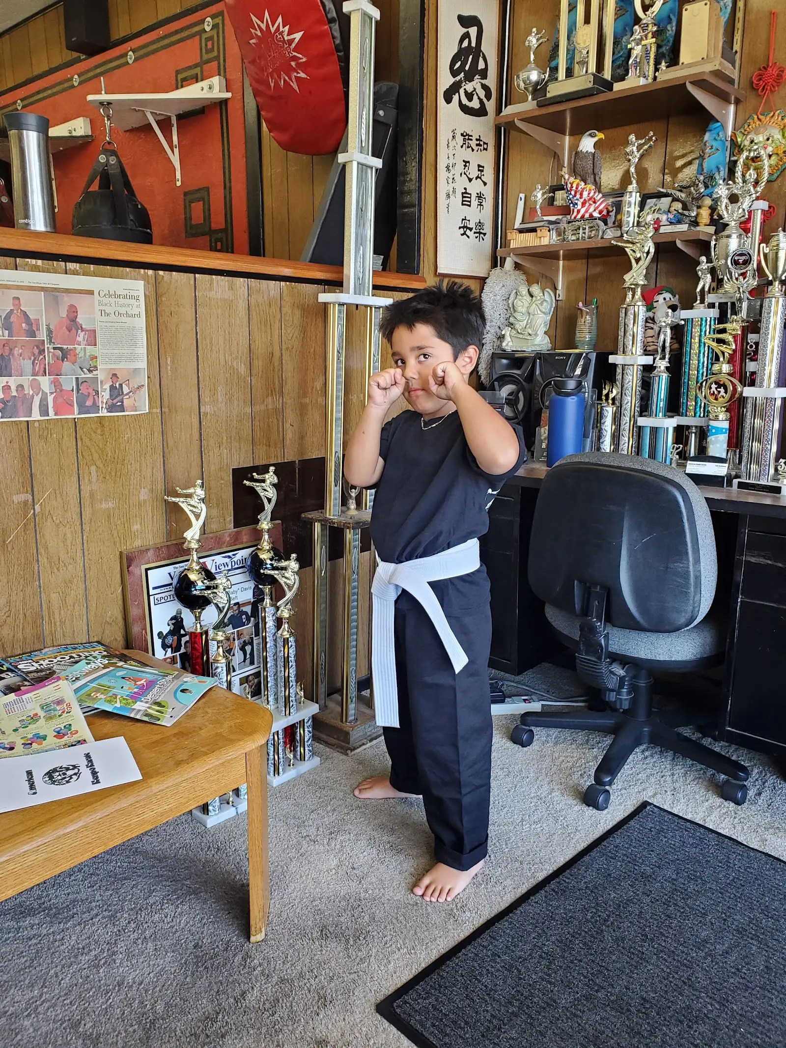American Kenpo Karate, Kick Boxing & Brazilian Jiu-Jitsu