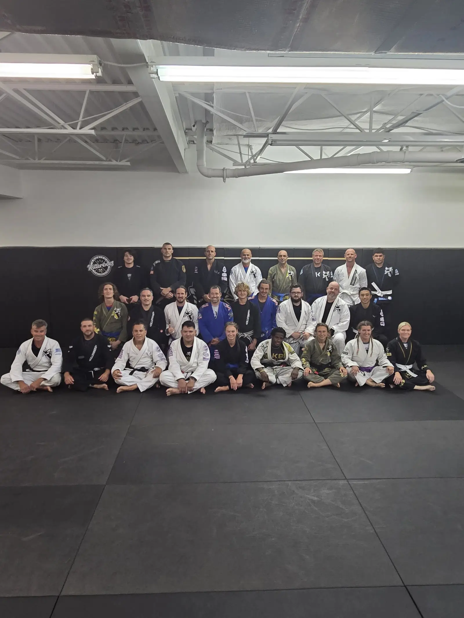 American Killer Bees Fitness