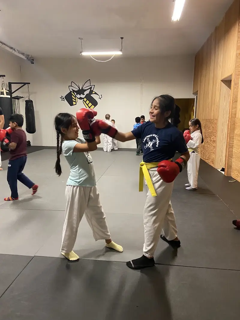 American Killer Bees NYC (now 5 Boro Fighthaus) BJJ Academy - photo 1