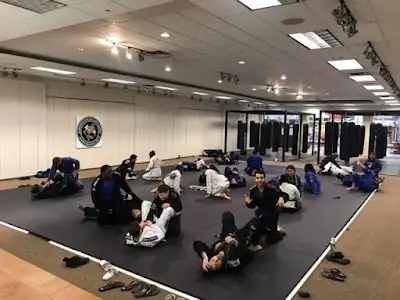 American Killer Bees PA MMA & Brazilian Jiu Jitsu