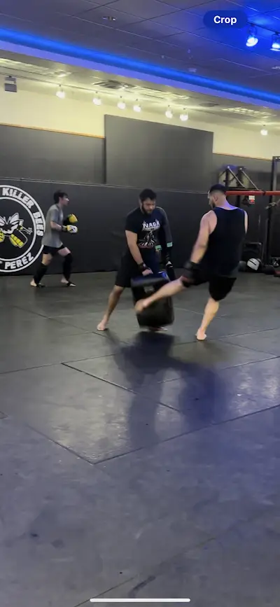 American Killer Bees PA MMA & Brazilian Jiu Jitsu BJJ Academy - photo 1