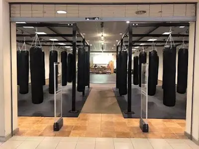 American Killer Bees PA MMA & Brazilian Jiu Jitsu BJJ Academy - photo 3