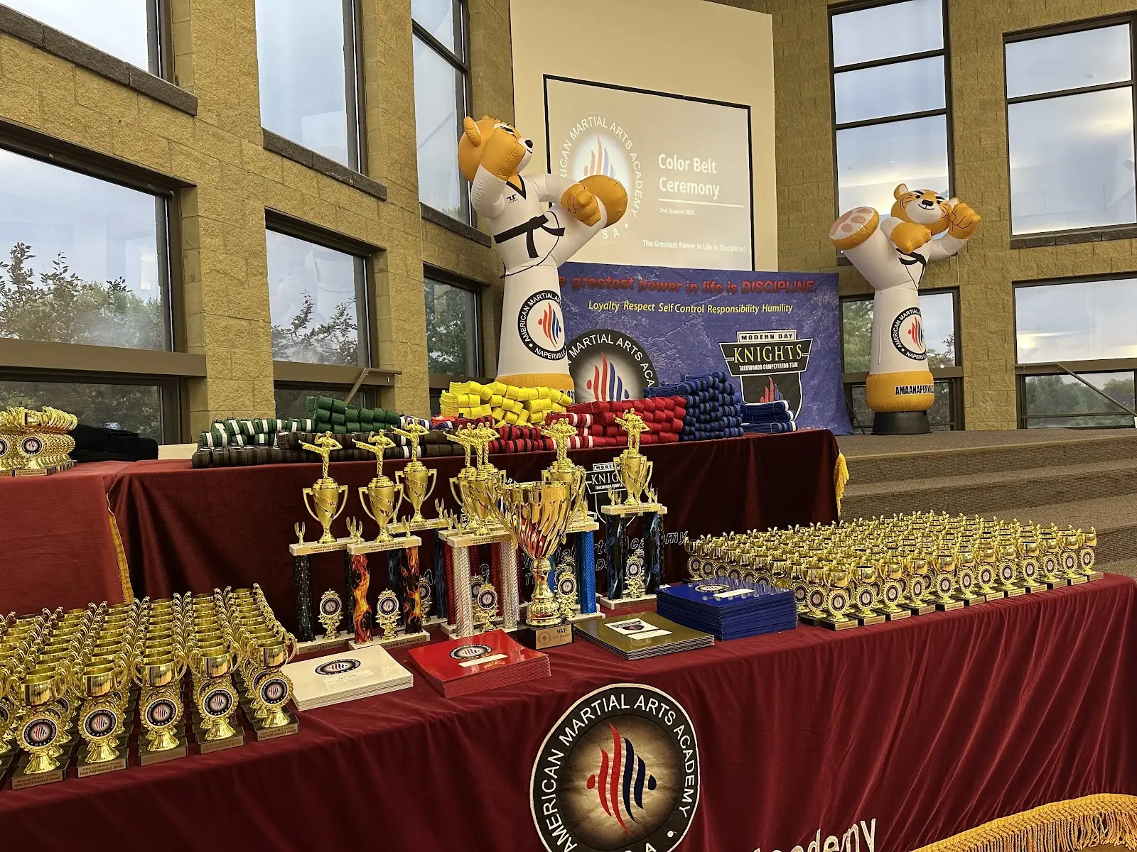 American Martial Arts Academy - Bolingbrook BJJ Academy - photo 2