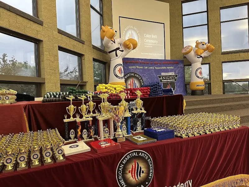 American Martial Arts Academy - Bolingbrook