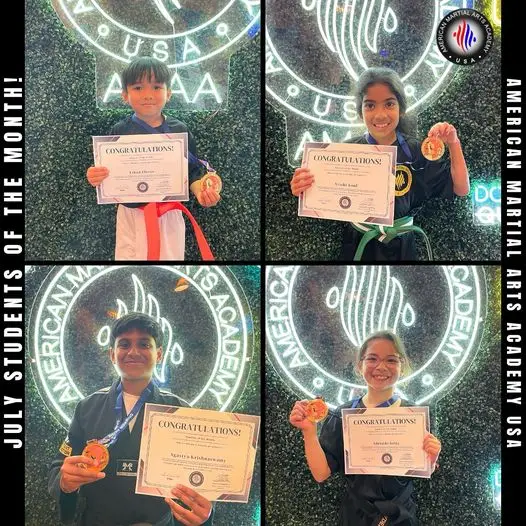 American Martial Arts Academy - Bolingbrook BJJ Academy - photo 1