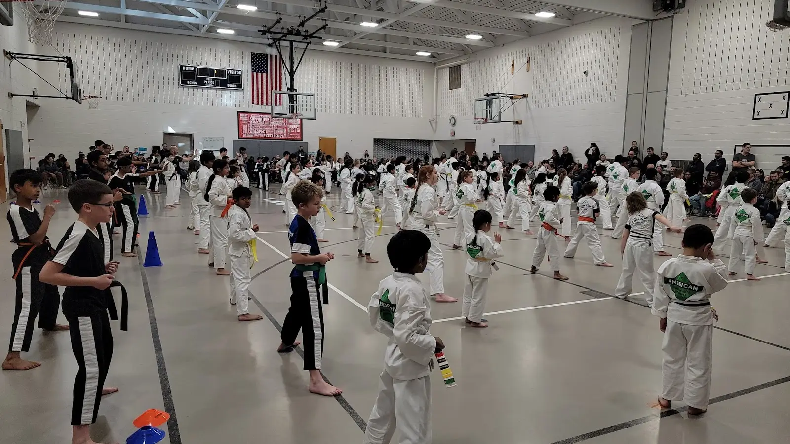 American Martial Arts Academy - Chester Springs, PA