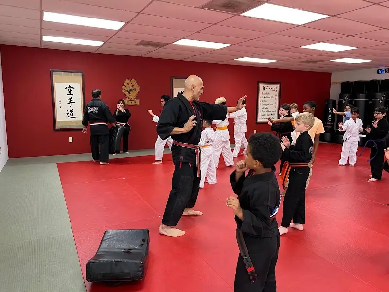 American Martial Arts Academy
