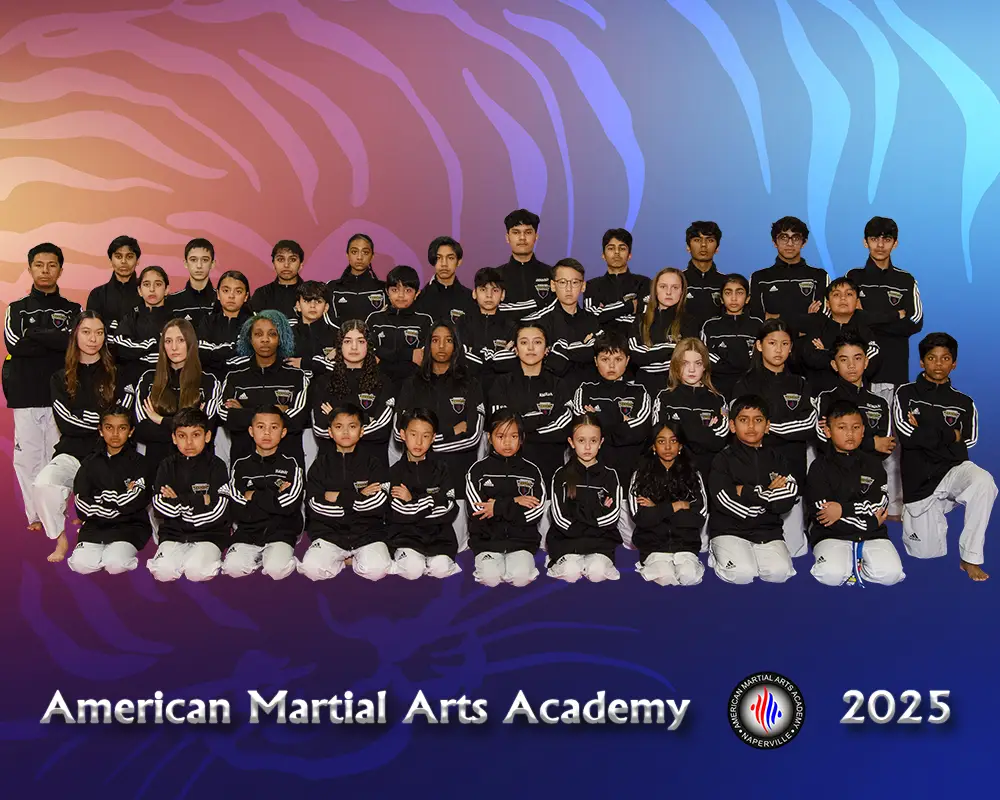 American Martial Arts Academy - Naperville