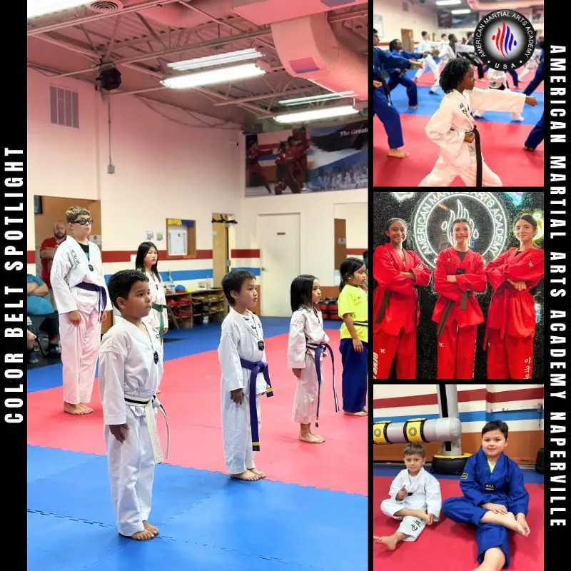 American Martial Arts Academy - Naperville