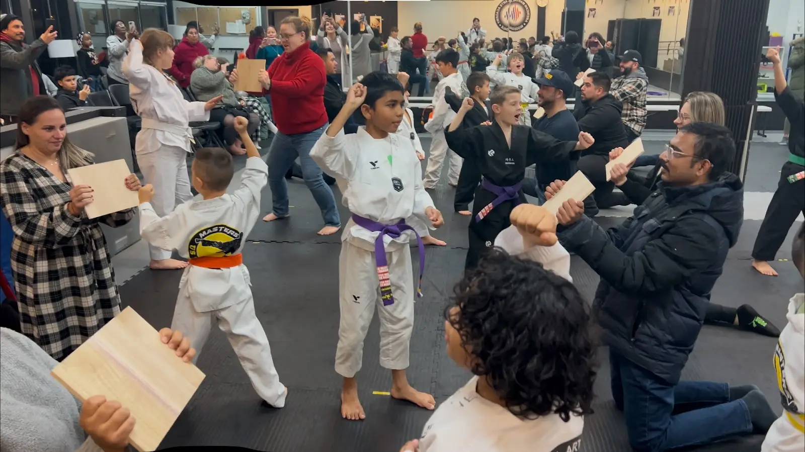 American Martial Arts Academy - Wood Dale