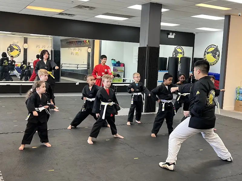 American Martial Arts Academy - Wood Dale BJJ Academy - photo 1
