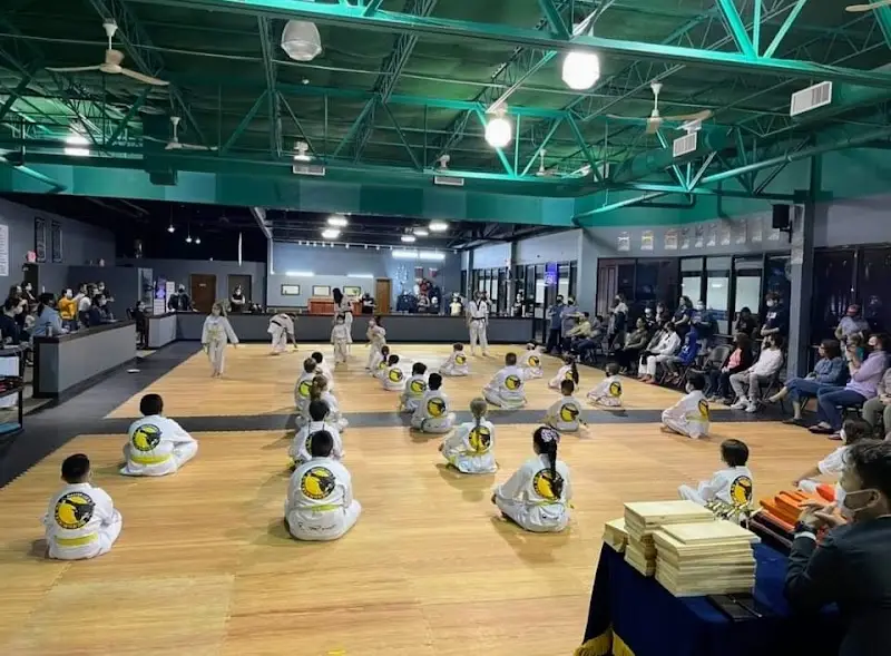 American Martial Arts Academy - Wood Dale BJJ Academy - photo 2