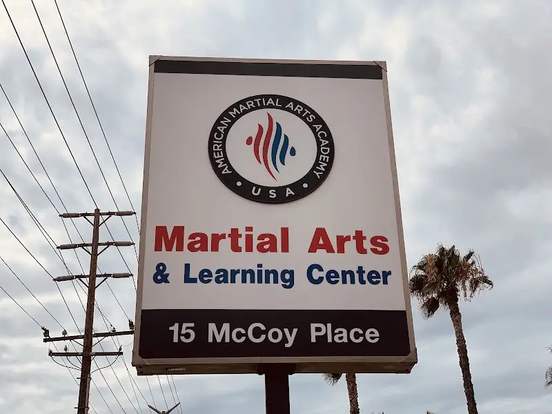 American Martial Arts Academy BJJ Academy - photo 2