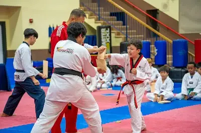 American Martial Arts Center, AMAC BJJ Academy - photo 4