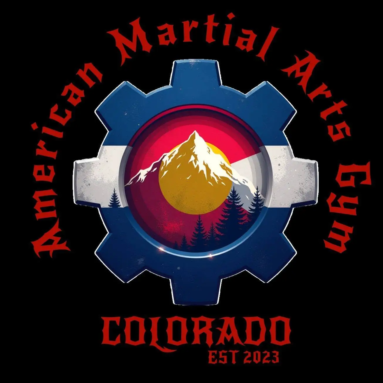 American Martial Arts Gym Colorado
