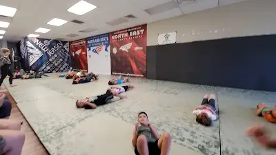 American Martial Arts Gym BJJ Academy - photo 1