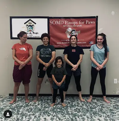 American Martial Arts Gym BJJ Academy - photo 3