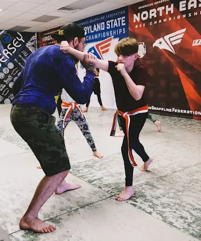 American Martial Arts Gym BJJ Academy - photo 4