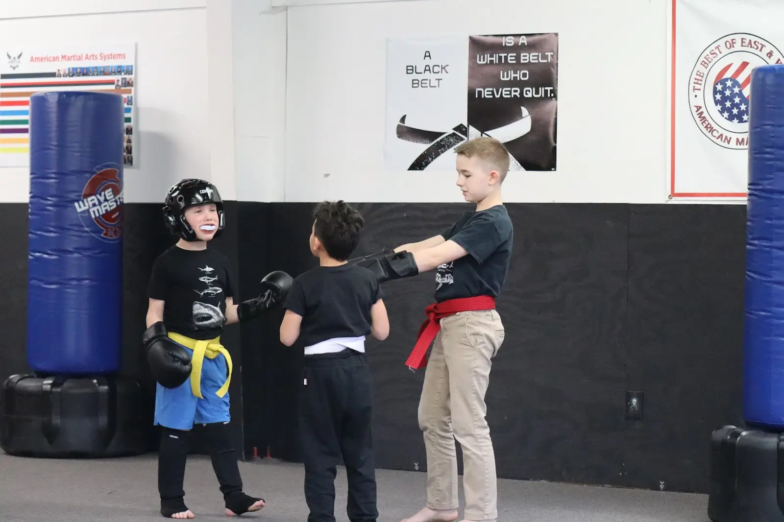 American Martial Arts Systems