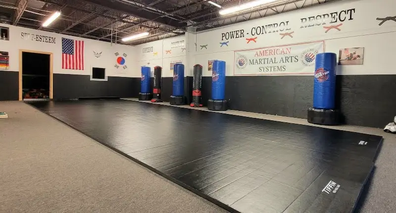 American Martial Arts Systems BJJ Academy - photo 1