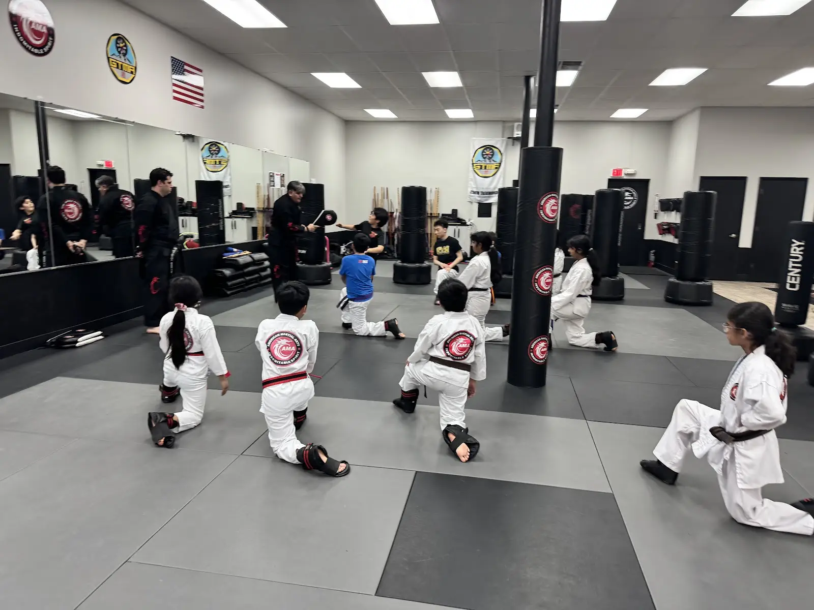 American Martial Arts