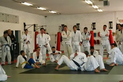 American School-Martial Arts BJJ Academy - photo 1