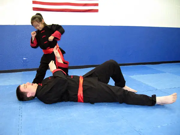 American Tiger Martial Arts & Fitness BJJ Academy - photo 2