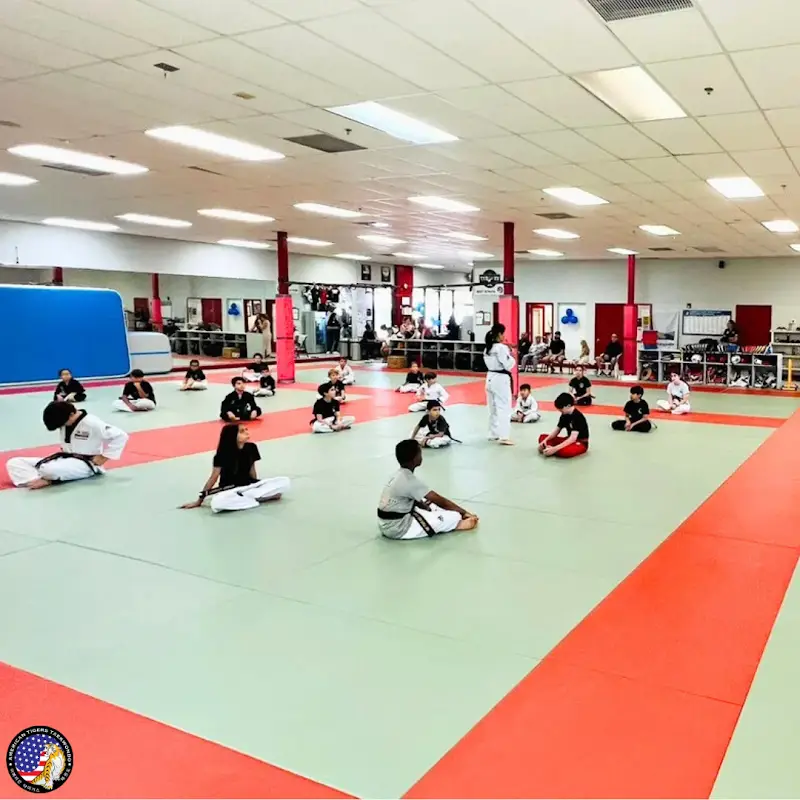 American Tigers Martial Arts BJJ Academy - photo 1