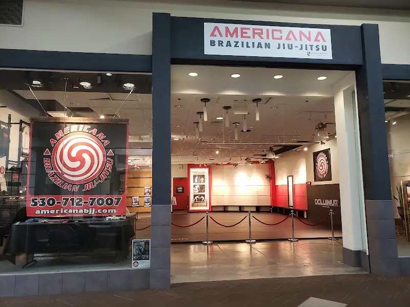 Americana Brazilian-Jiu Jitsu BJJ Academy - photo 1