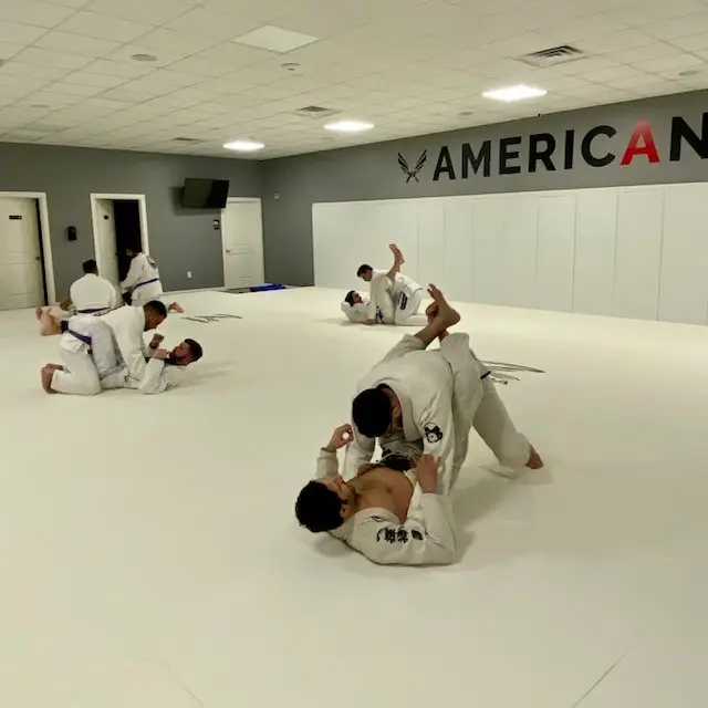 Americana Jiu Jitsu BJJ Academy - photo 1