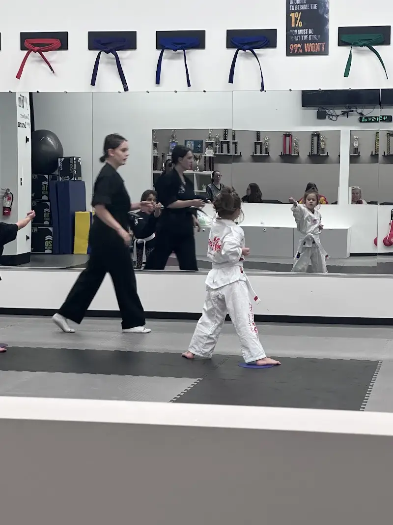 Amerikick Martial Arts Blue Springs BJJ Academy - photo 1