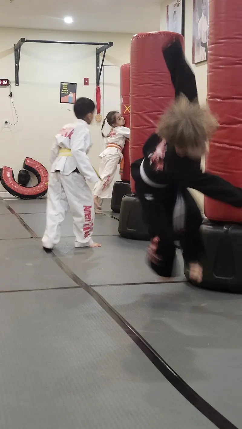 AmeriKick Martial Arts Fresh Meadows BJJ Academy - photo 1
