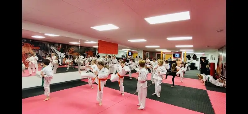 Amerikick Wisconsin BJJ Academy - photo 2