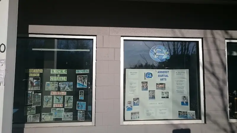 Amherst Martial Arts