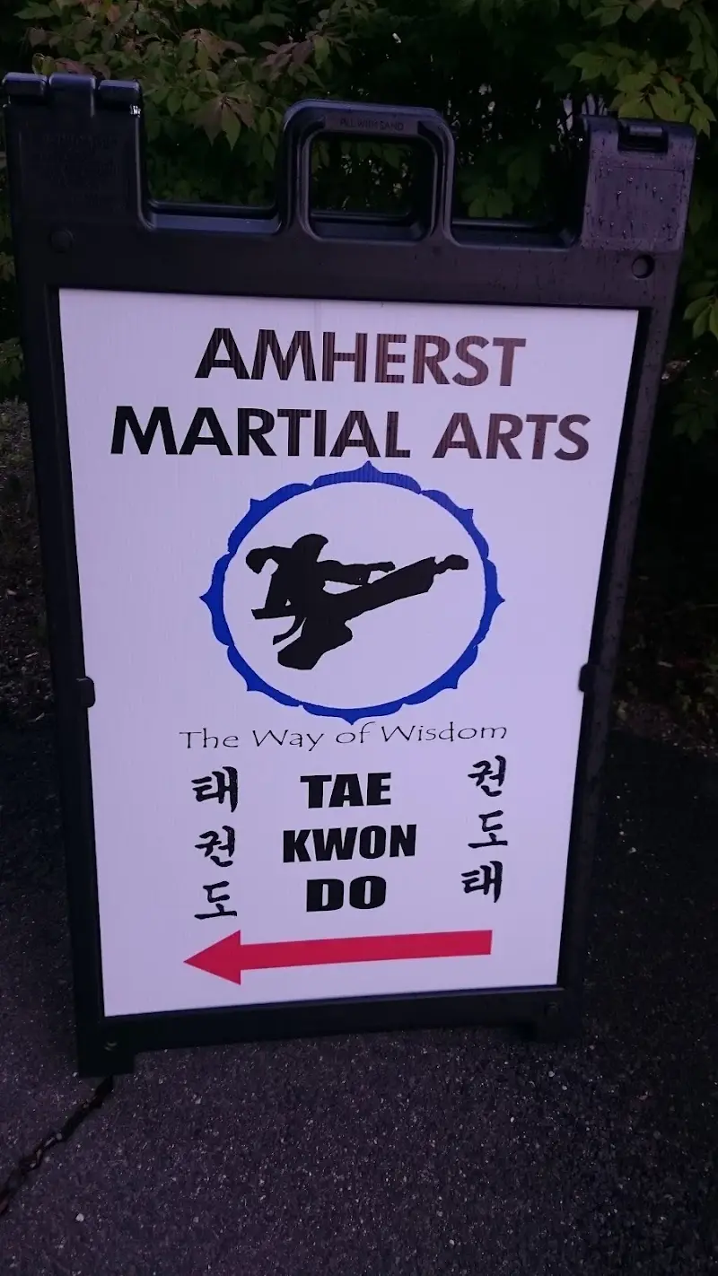 Amherst Martial Arts BJJ Academy - photo 1