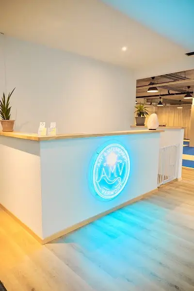Amv Genève : Cours Jiu‐Jitsu, Judo Et Grappling