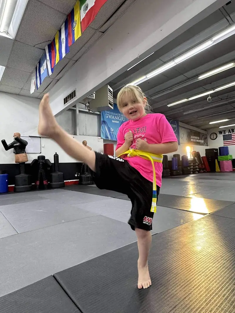 Amys Martial Arts BJJ Academy - photo 1
