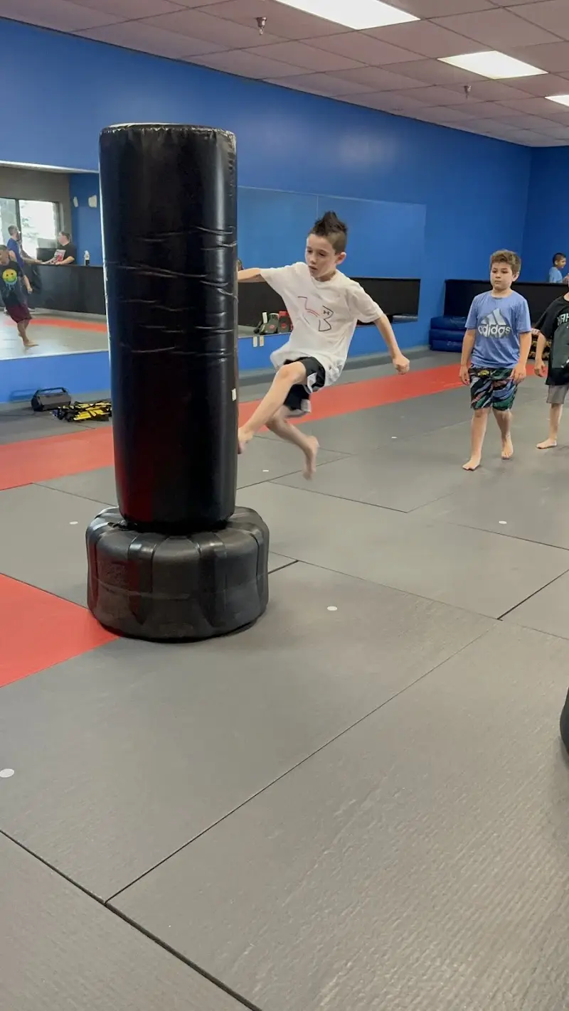 Anchor Martial Arts BJJ Academy - photo 2