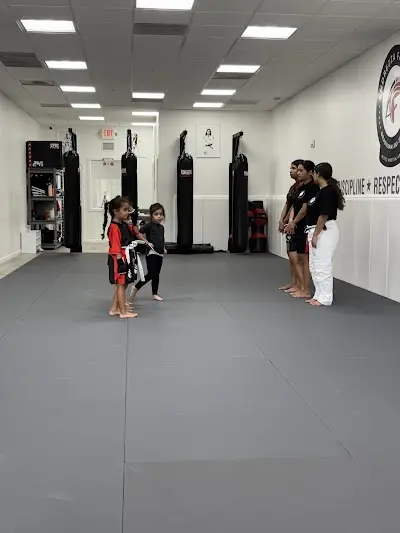 Andrezza Façanha Brazilian Jiu-Jitsu Academy BJJ Academy - photo 3