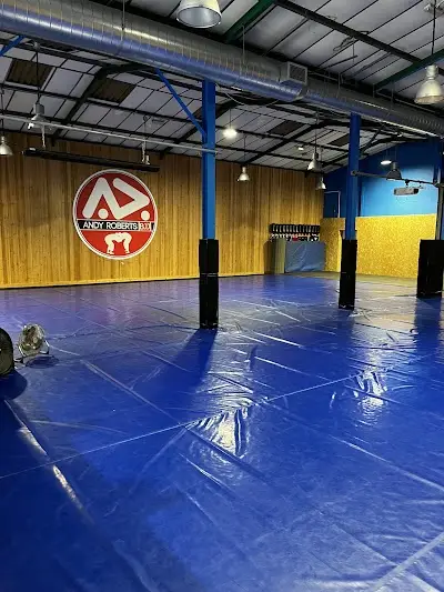 Andy Roberts BJJ BJJ Academy - photo 2