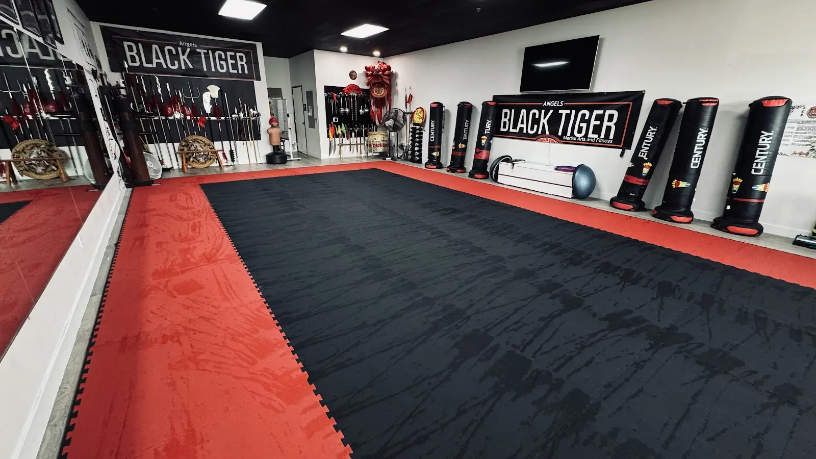 Angels Black Tiger Martial Arts and Fitness