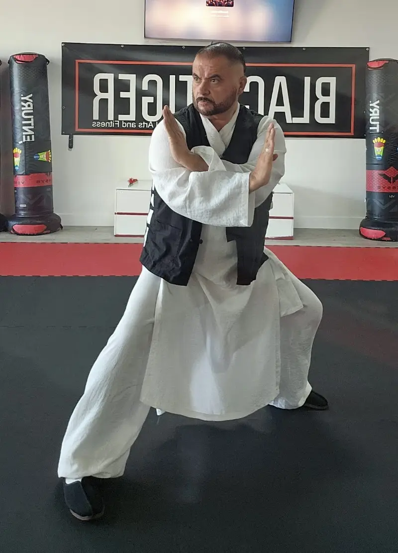 Angels Black Tiger Martial Arts and Fitness BJJ Academy - photo 1